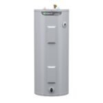 A.O. Smith Signature 100 50-Gallon Short 6-Year Warranty 4500-Watt Double Element Electric Water Heater | E6-50R45D TTP