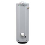A.O. Smith Signature 100 30-Gallon Tall 6-Year Limited 32000-BTU Natural GAS Water Heater | G6-T3032NVR